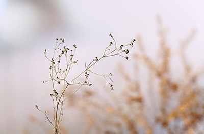 Spontane en échte foto’s met een magische touch